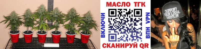 как найти закладки  Ветлуга  ТГК THC oil 