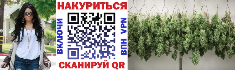 MEGA ONION  цены   Ветлуга  Конопля VHQ 